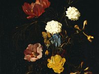 GG 439  GG 439, Abraham de Lust (nachweisbar 1650-59), Blumenstrauss, Leinwand, 52,1 x 41,5 cm : Blumen